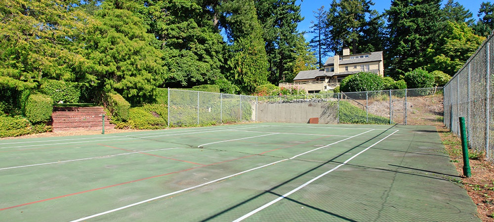 maintaining your home tennis court