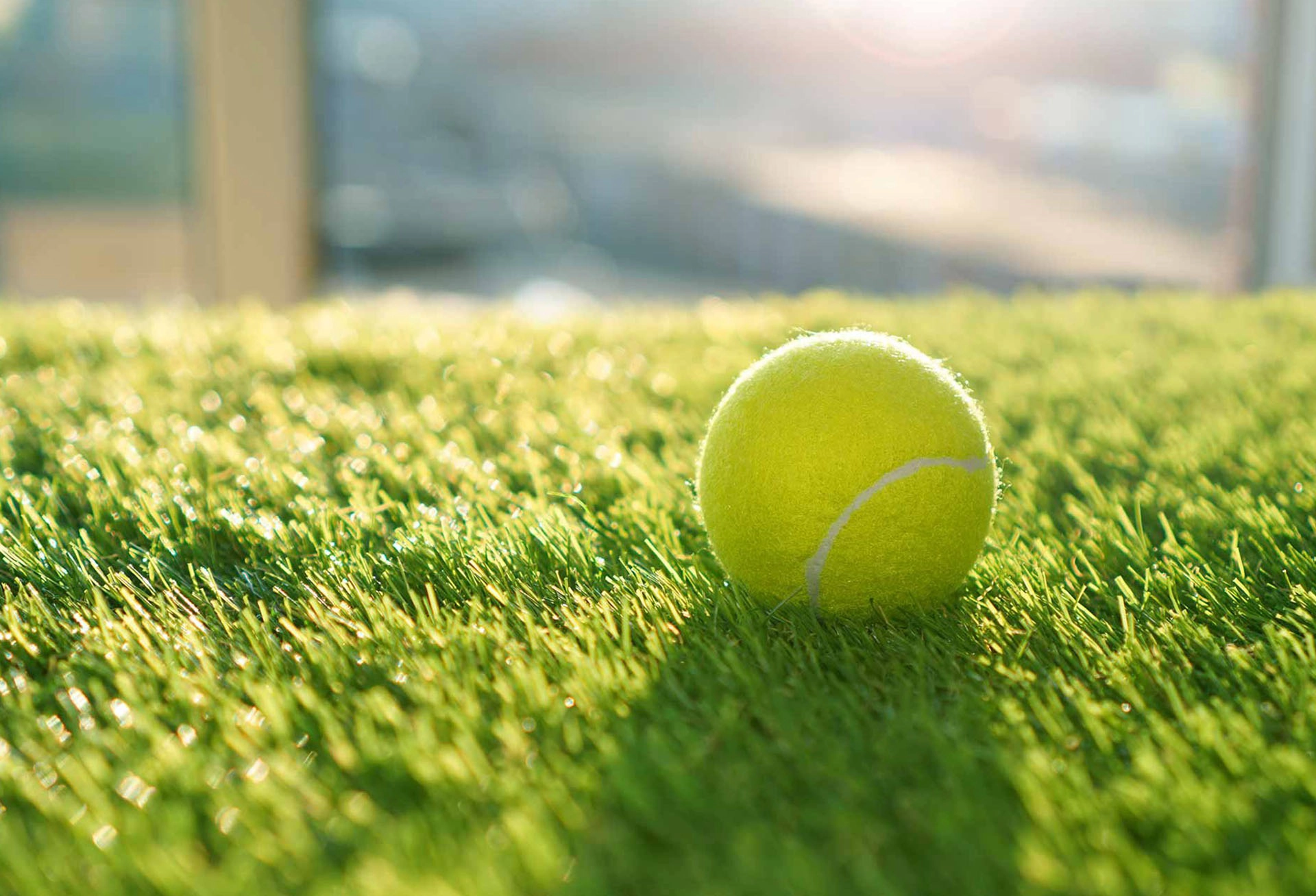 turf, asphalt and clay tennis courts
