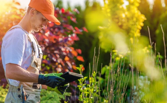 Garden Design with Tablet Device. Professional Gardener with His Tablet Computer.