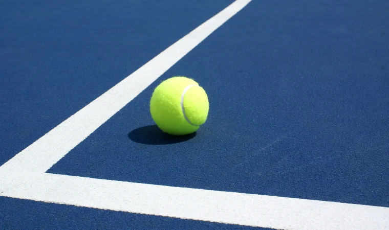 Tennis Court Image Eight