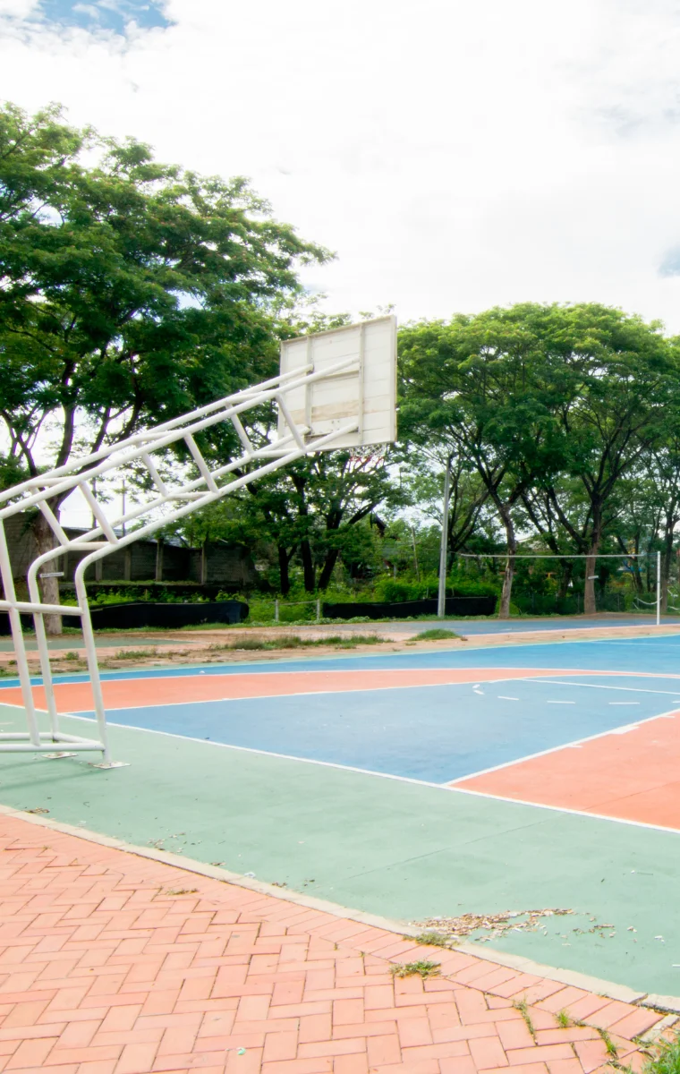 Crowall’s Complete Basketball Court Services