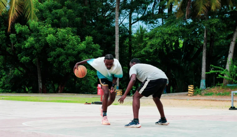 Understanding Mississauga’s Permit Landscape