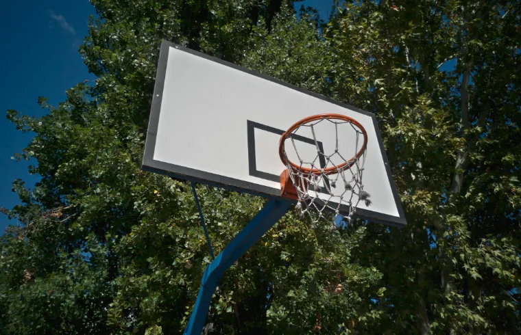Why Choose Crowall for Basketball Court Construction in Ajax