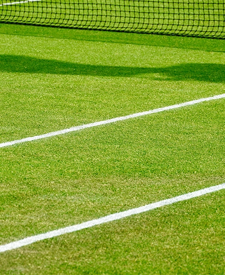 GRASS TENNIS COURT CLOSE CLOSE UP IN THE SUMMER