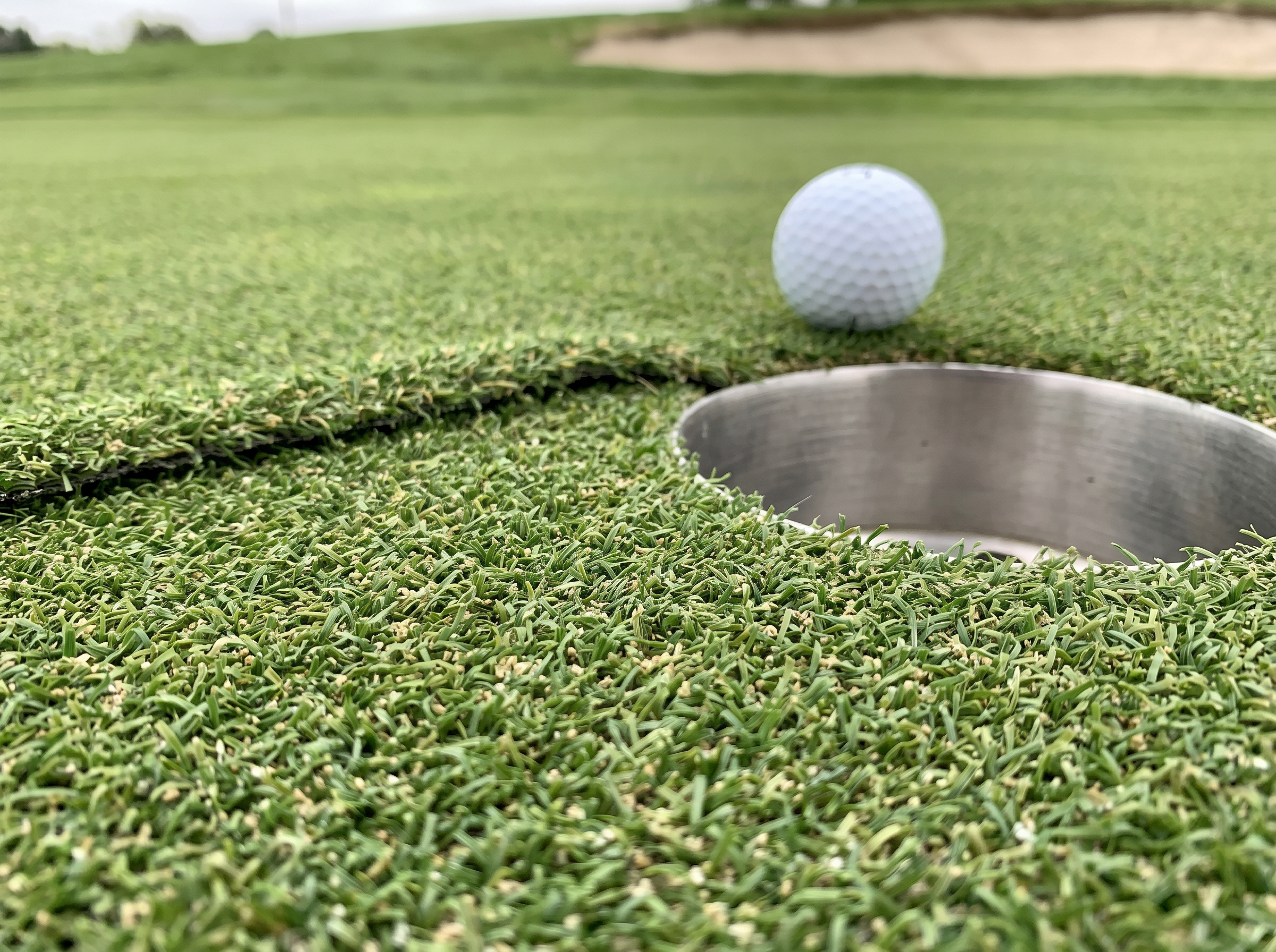 Close-up of synthetic putting green turf with a golf ball resting near a cup, showing turf texture and a subtle contour break